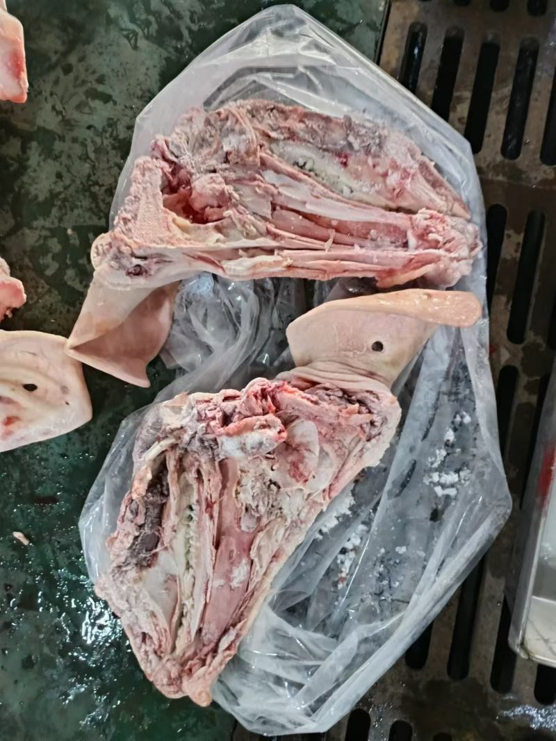 后备猪头母猪头肥猪头鸿运当头长期有货