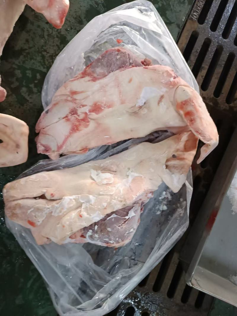 后备猪头母猪头肥猪头鸿运当头长期有货