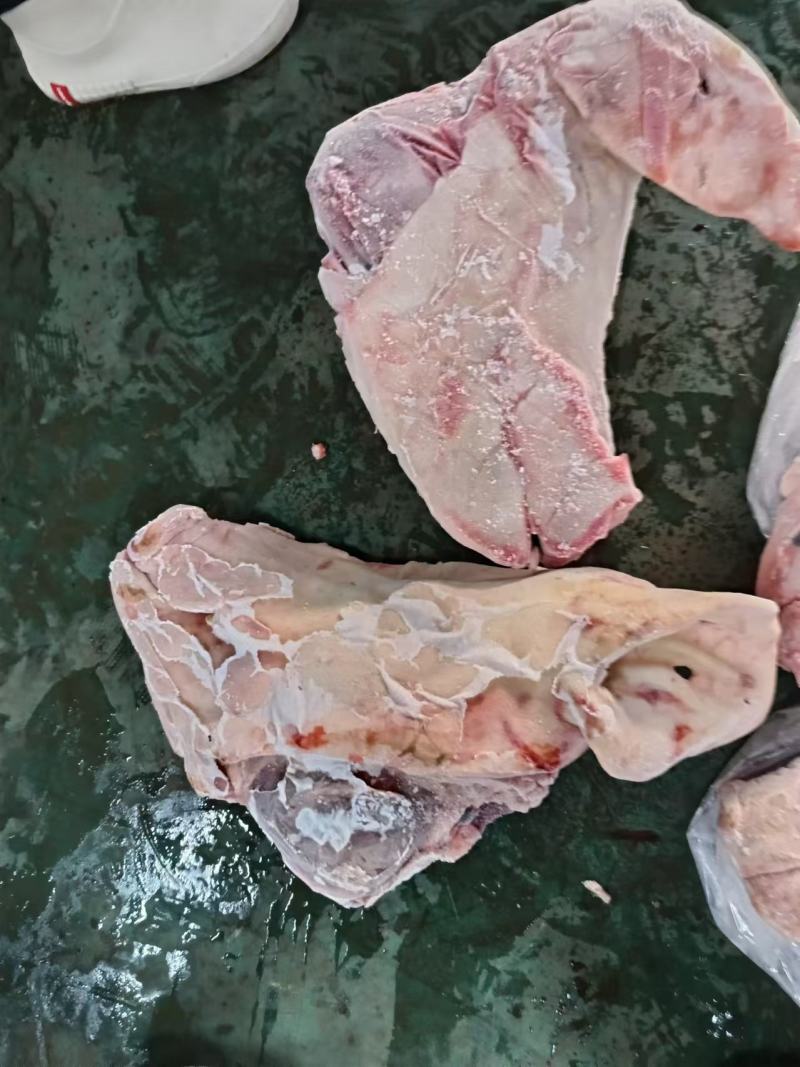 后备猪头母猪头肥猪头鸿运当头长期有货