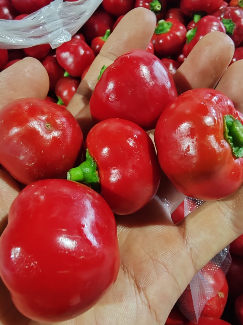 【泡菜】泡珠子椒泡灯笼椒泡圆辣椒泡红圆椒泡红珠子椒贵州珠