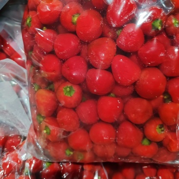 【泡菜】泡珠子椒泡灯笼椒泡圆辣椒泡红圆椒泡红珠子椒贵州珠