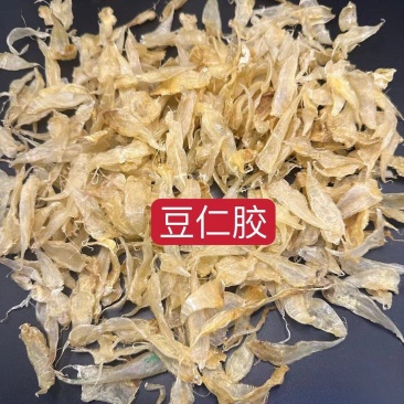 一手货清水货豆仁胶鱼胶鱼鳔花胶干货滋补调理孕妈妈