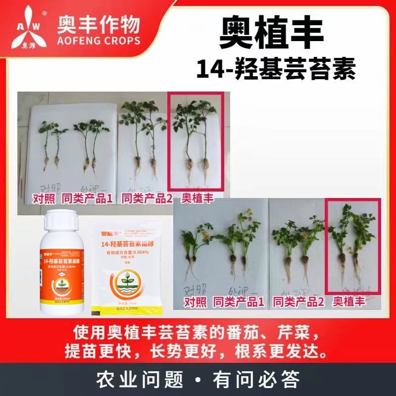 奥丰芸苔素内酯14羟基芸苔素甾醇促生根生长调节剂