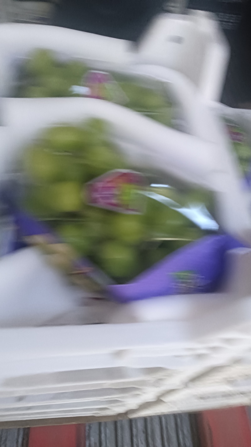 阳光玫瑰，芳香的味道，陕西大荔县大量供应