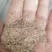 大量油糠刮米糠薏仁糠养殖场专用价格美丽