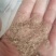大量油糠刮米糠薏仁糠养殖场专用价格美丽
