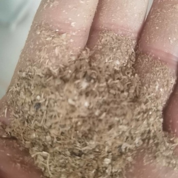 大量油糠刮米糠薏仁糠养殖场专用价格美丽