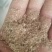 大量油糠刮米糠薏仁糠养殖场专用价格美丽