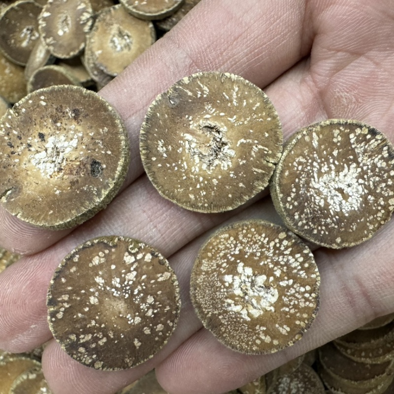 化州橘红雪花片满天星一件代发批发价