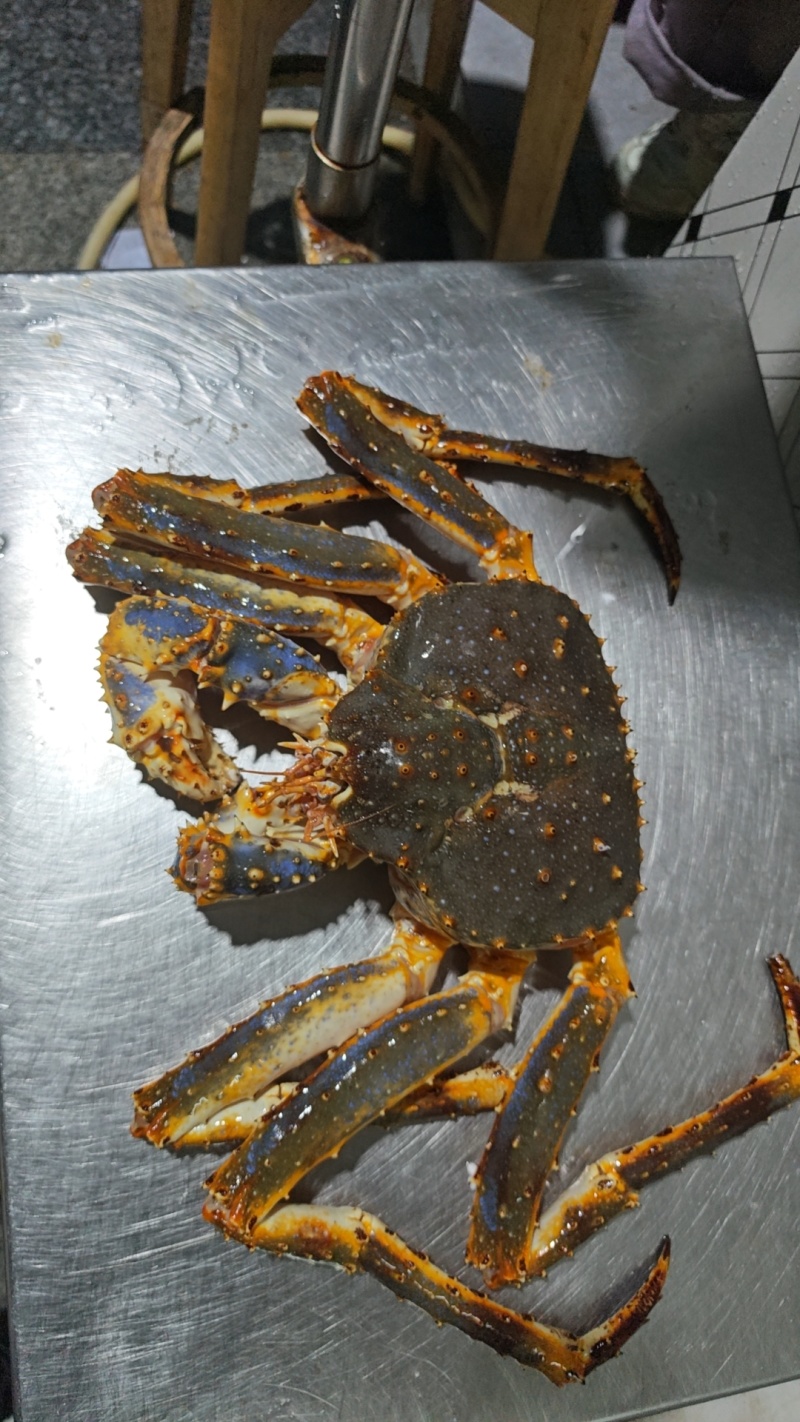 冰鲜帝王蟹个个肥美批发量大价格便宜质量把控欢迎咨询