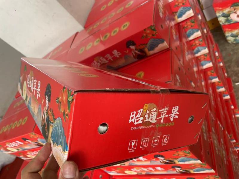 云南昭通红露苹果