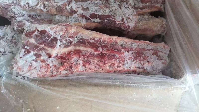 羊蝎子满肉羊蝎子羊脊骨羊脖骨内蒙羊蝎子羔羊羊蝎子