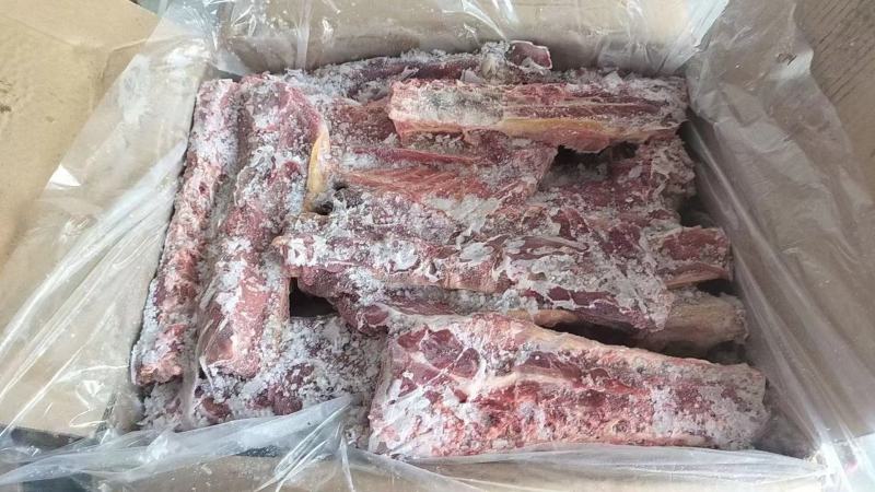 羊蝎子满肉羊蝎子羊脊骨羊脖骨内蒙羊蝎子羔羊羊蝎子