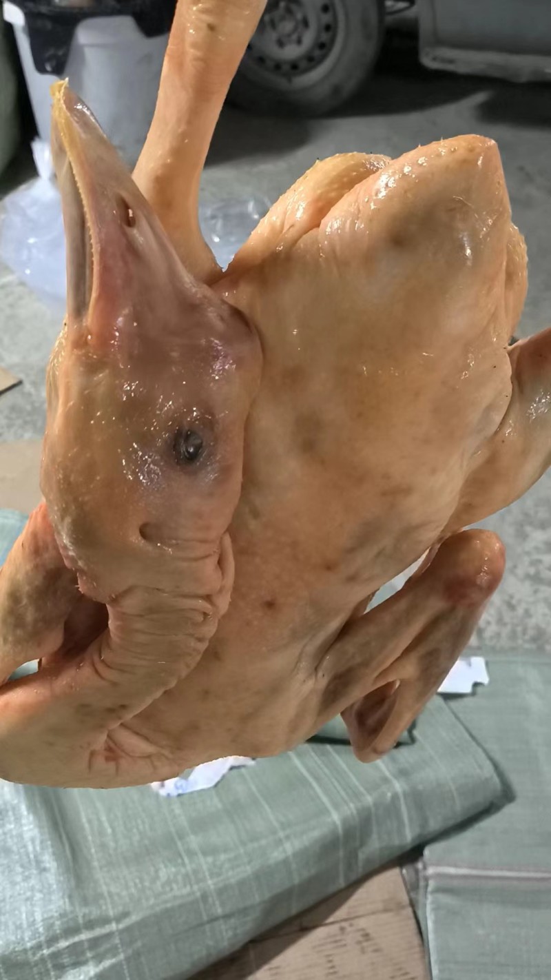 地道东北大鹅，黄皮红肉的，保质保量