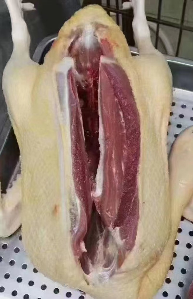 地道东北大鹅，黄皮红肉的，保质保量