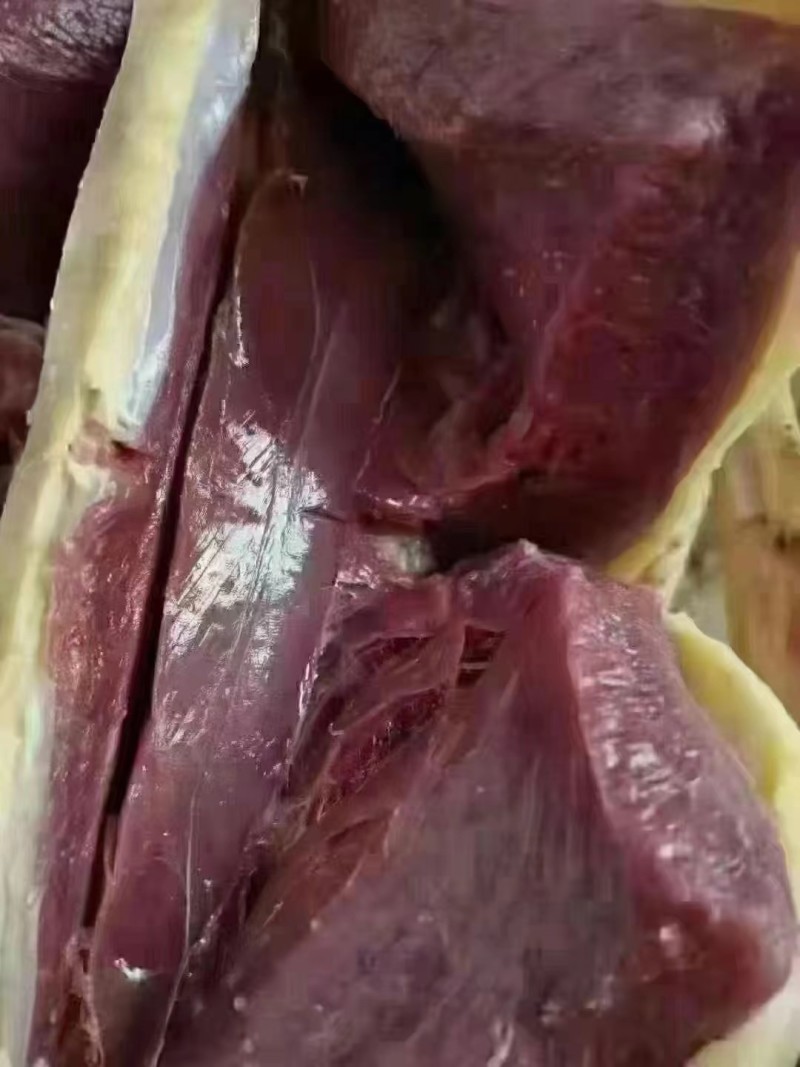 地道东北大鹅，黄皮红肉的，保质保量