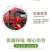 精品波尔山羊羊苗头胎怀孕母羊支持视频挑