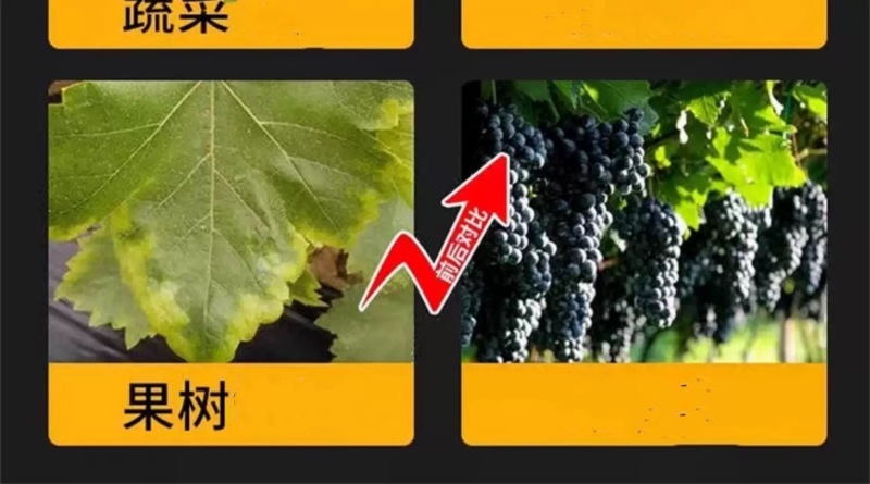 液体氮代替尿素绿叶提苗小麦水稻玉米返青肥果树蔬菜追肥叶面