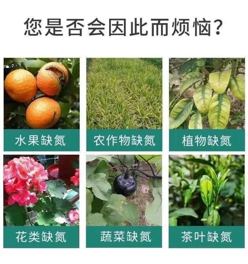 液体氮代替尿素绿叶提苗小麦水稻玉米返青肥果树蔬菜追肥叶面