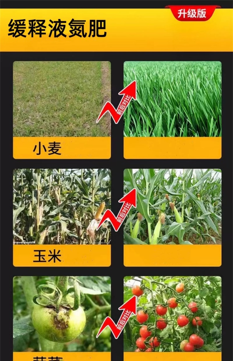液体氮代替尿素绿叶提苗小麦水稻玉米返青肥果树蔬菜追肥叶面