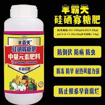 瓜果蔬菜使用硅肥，防病防寒防落保花保果