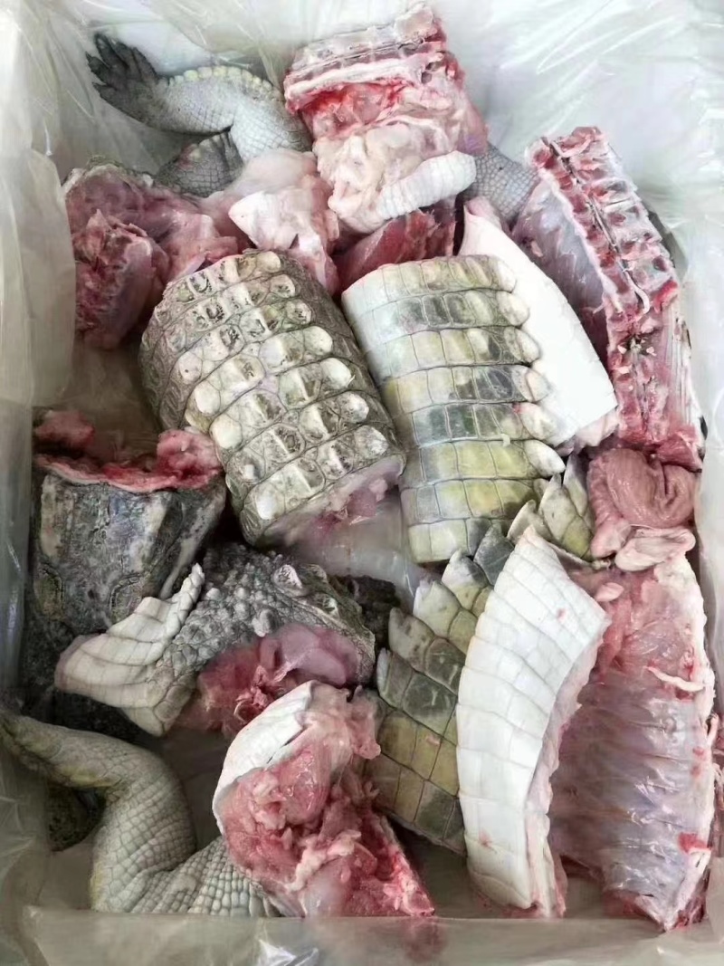 鳄鱼肉，山东郓城鳄鱼工厂，批量，量大可以联系有成熟的产业