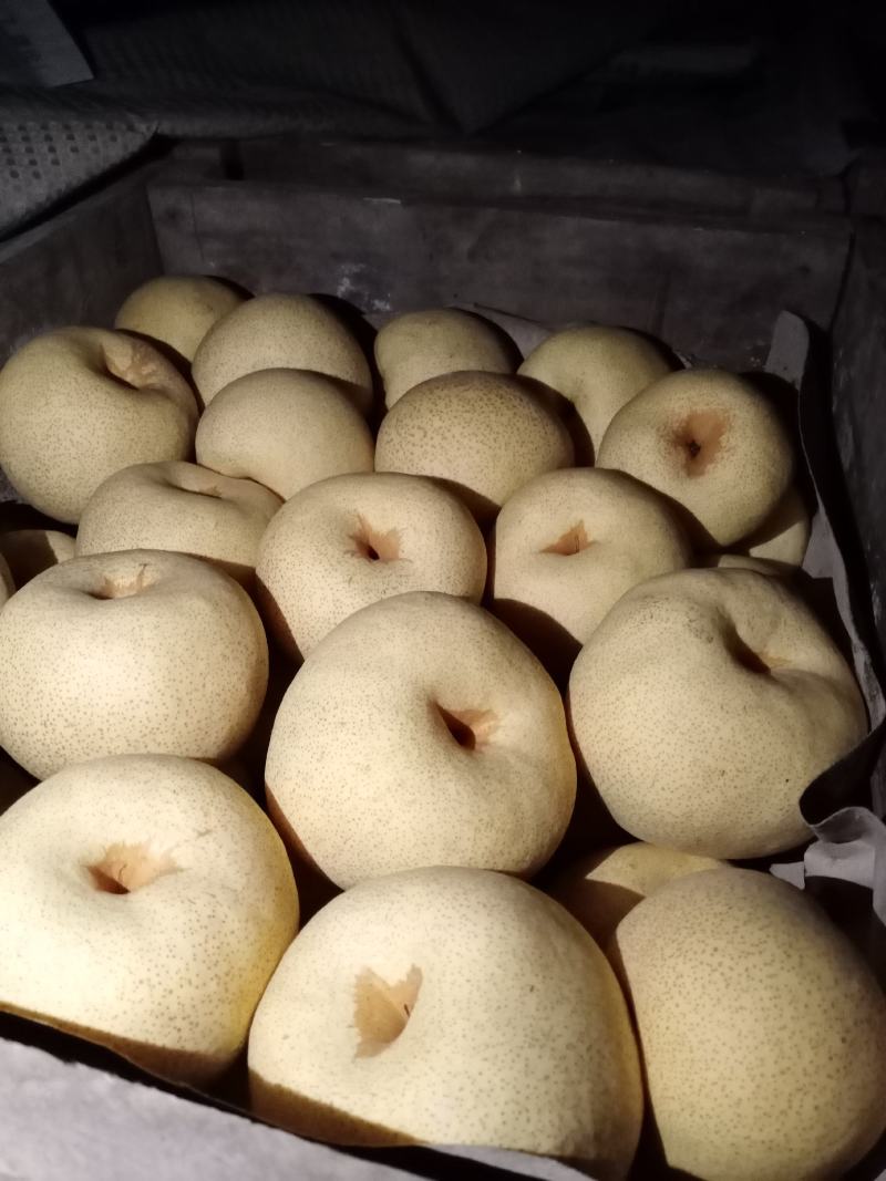 宁陵金鼎谢花酥