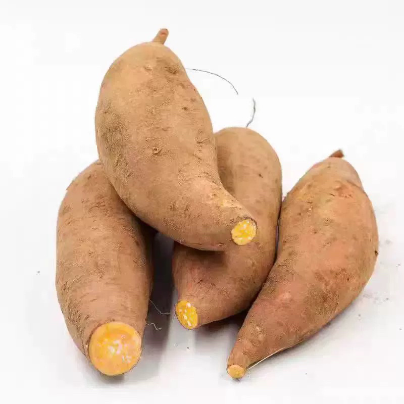 云南高山蜜薯红薯