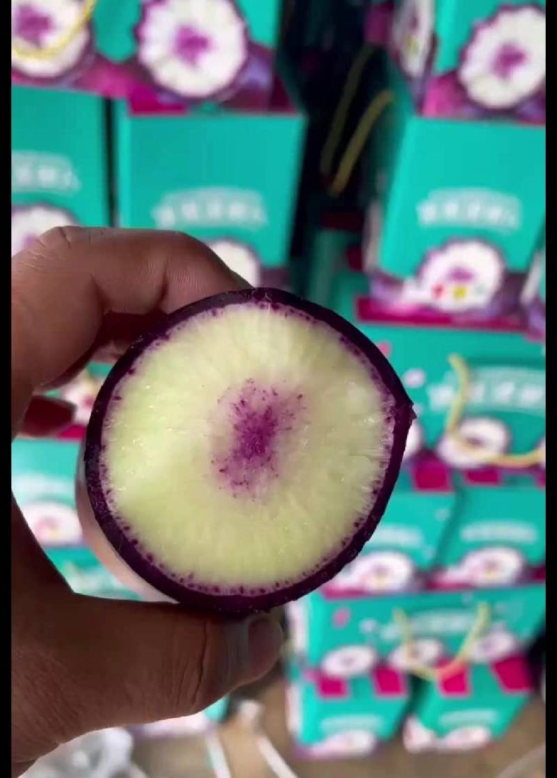 冰淇淋萝卜穿心红冰淇淋萝卜紫皮水果萝卜