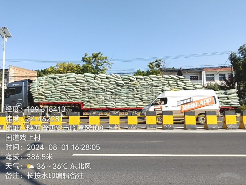 2024年8月青桑叶八十吨