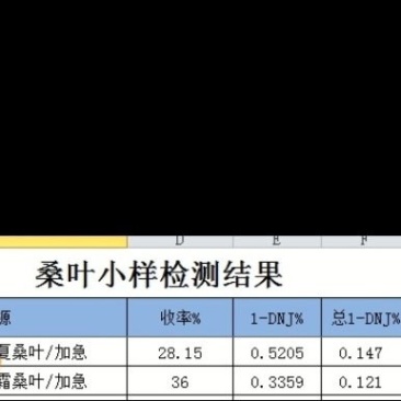 2024年8月份青桑叶霜桑叶都有现货
