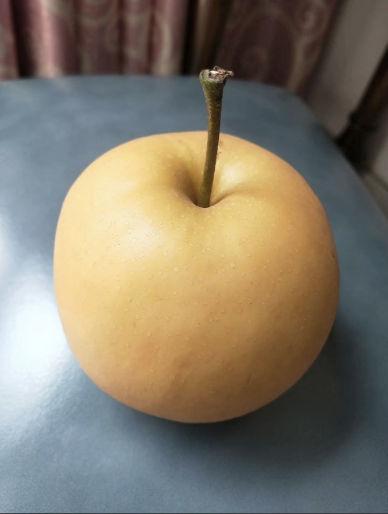 莱阳秋月梨