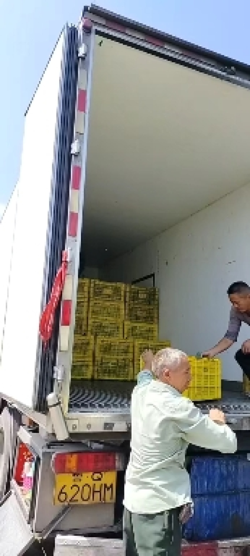 四川资阳蜜桔欢迎市场商超电商货社区团购合作可提供食宿