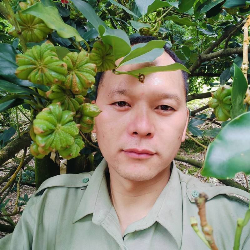 生八角，干八角，大红八角。
