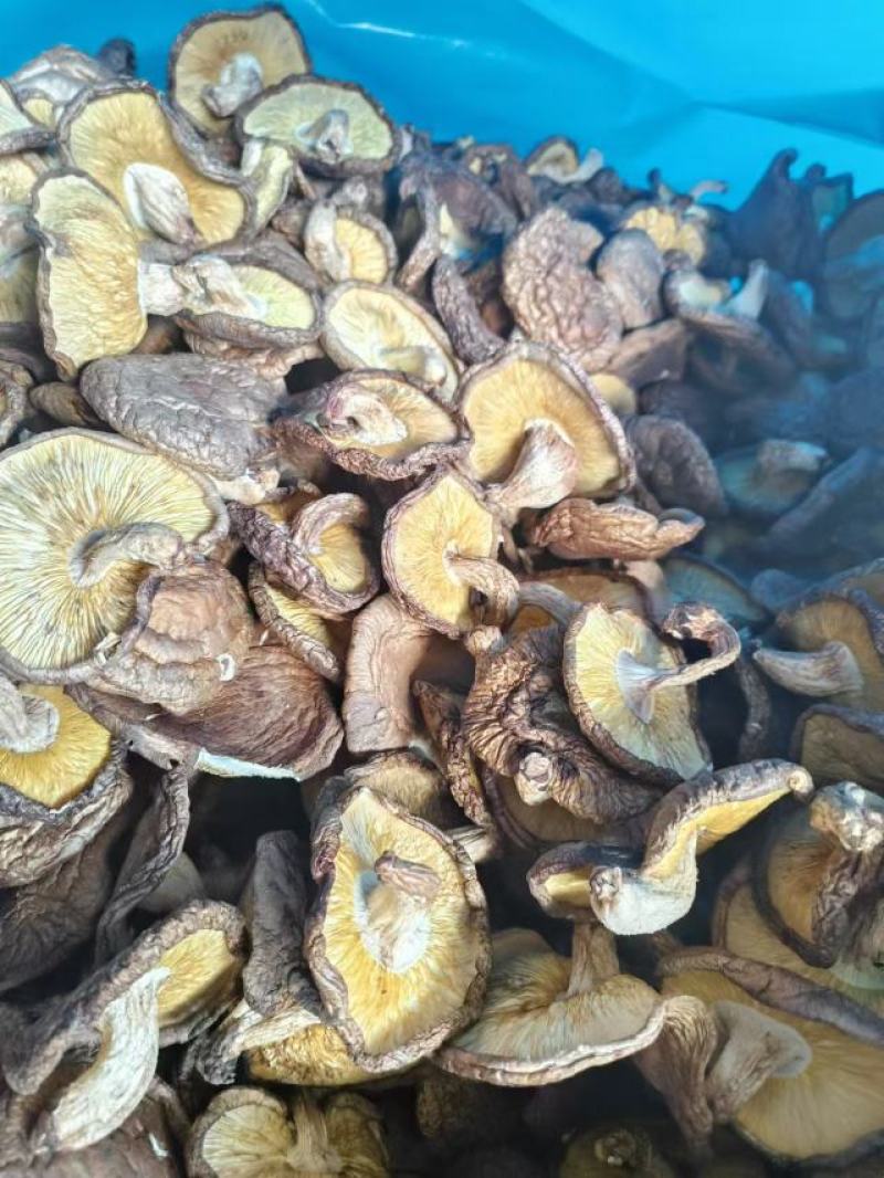 椴木香菇木头林下香菇香味浓郁颜色好批发烘干成件代发