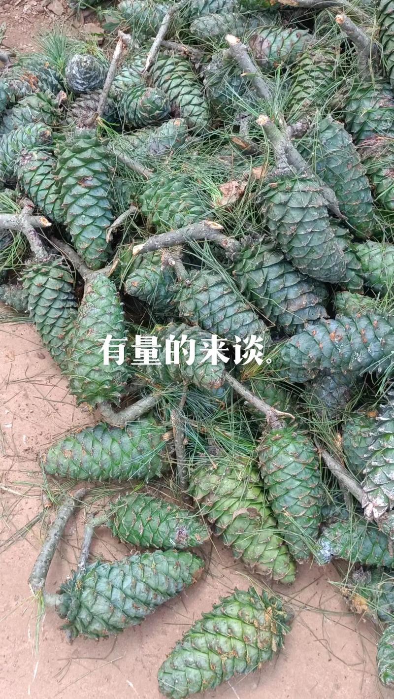 松包