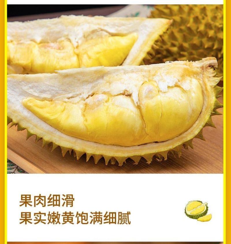 泰国金枕榴莲贸易商一手货源品质保证支持一件代发