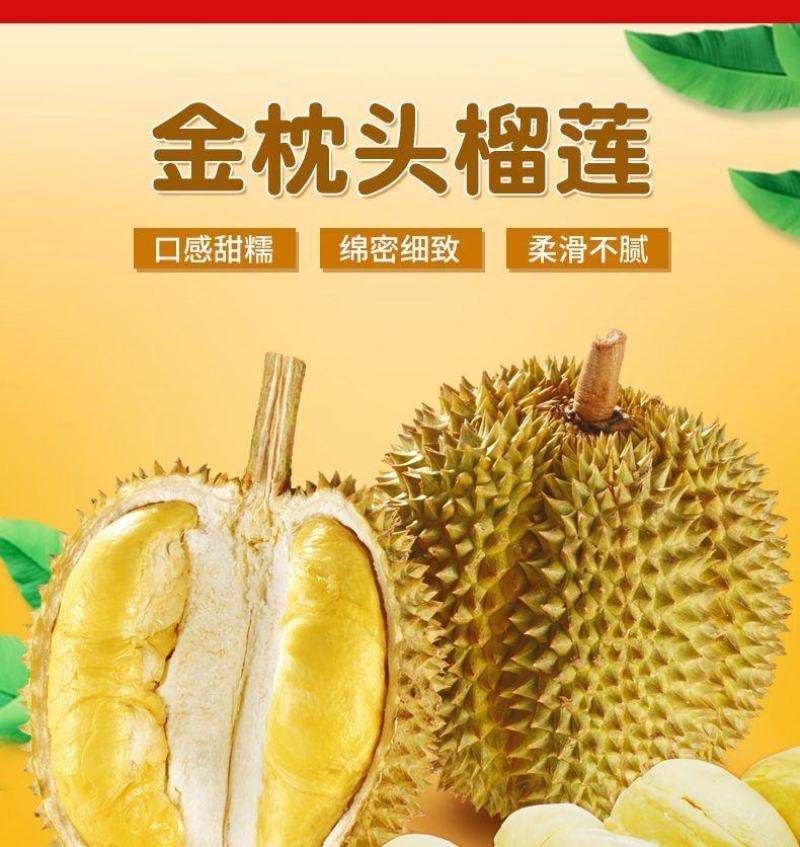 泰国金枕榴莲贸易商一手货源品质保证支持一件代发