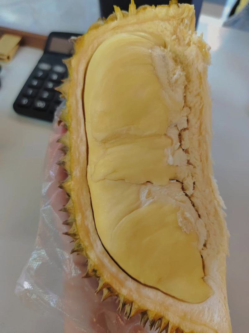 泰国金枕榴莲贸易商一手货源品质保证支持一件代发