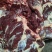 鲜牛肉，羊肉批发零售。卤肉批发零售供应。诚信经营服务客户