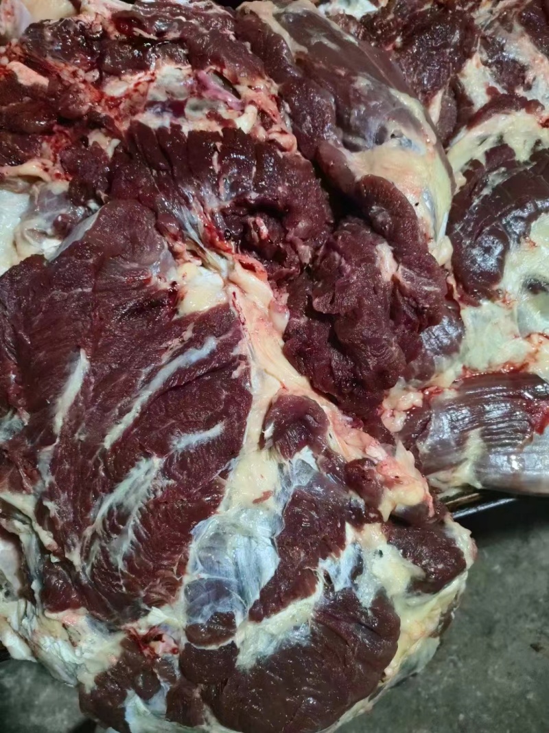 鲜牛肉，羊肉批发零售。卤肉批发零售供应。诚信经营服务客户