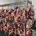 鲜牛肉，羊肉批发零售。卤肉批发零售供应。诚信经营服务客户