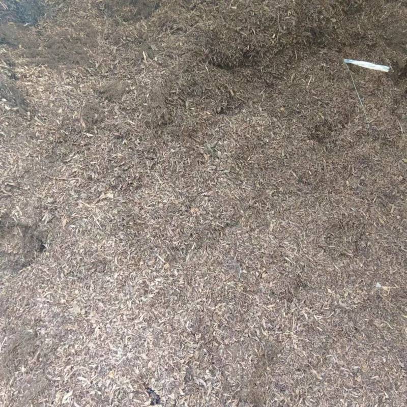 药渣