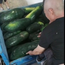 冬瓜价格便宜了