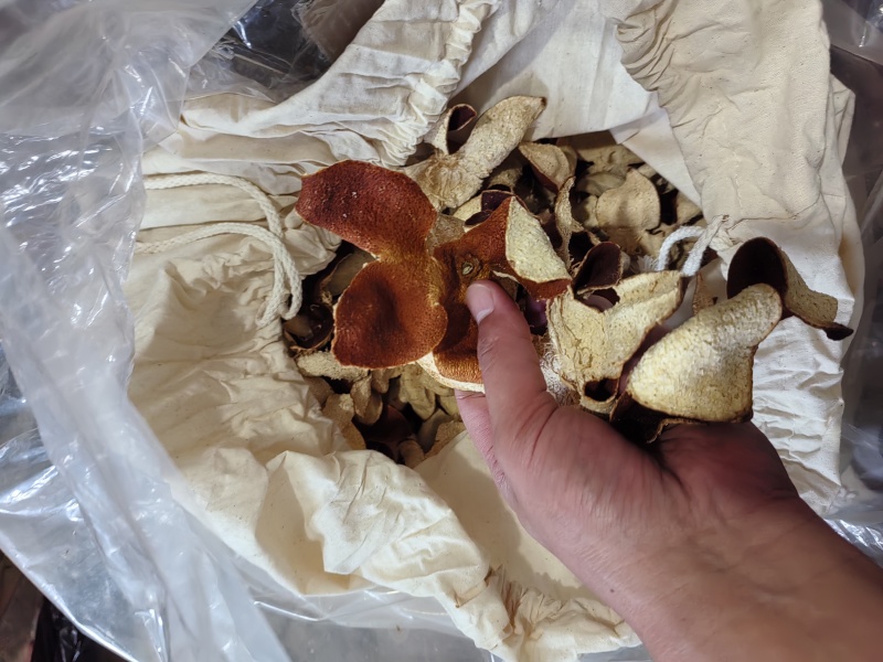 三年陈皮