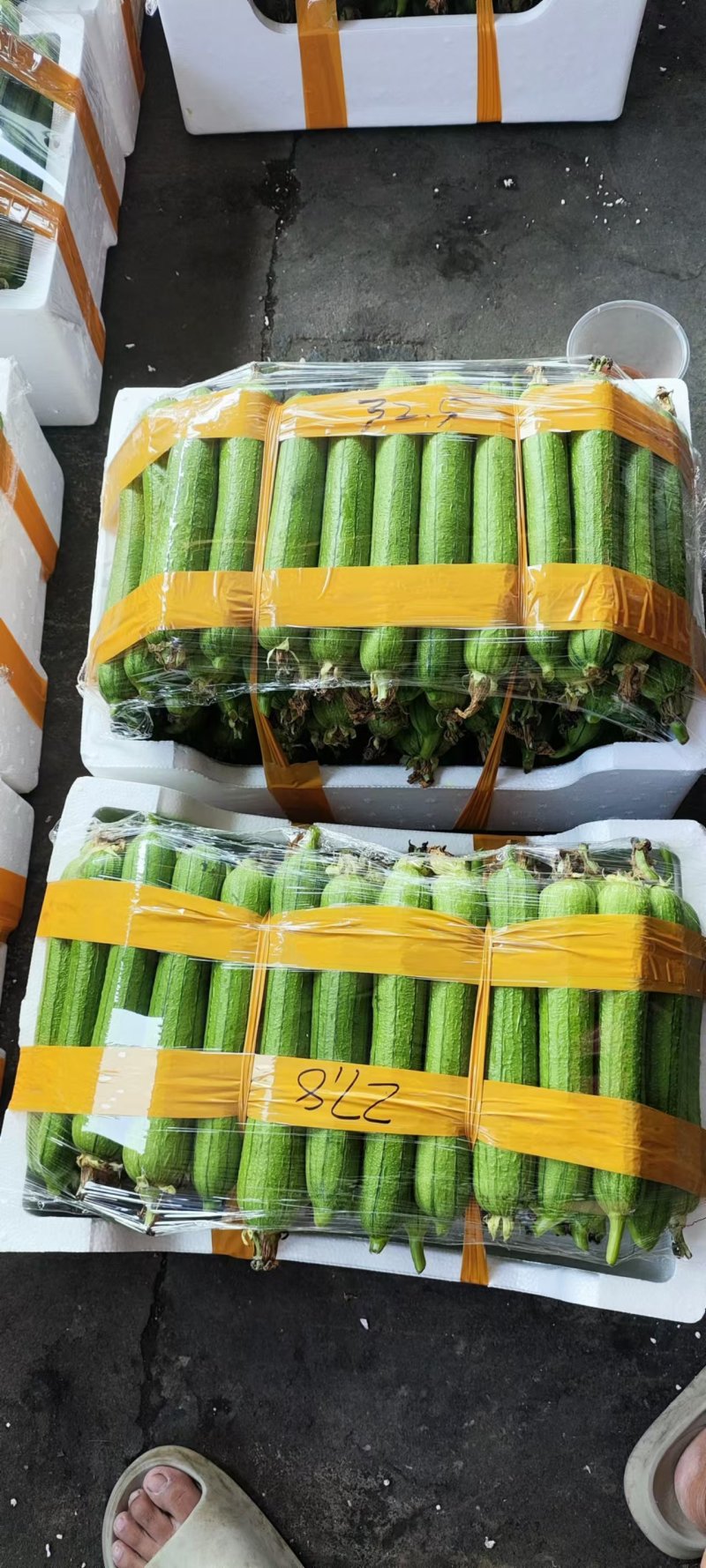 油皮丝瓜大量有货，价格便宜了