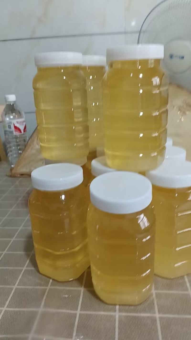 江西上饶鄱阳蜂蜜洋槐花蜜农家自产长期供货支持代发