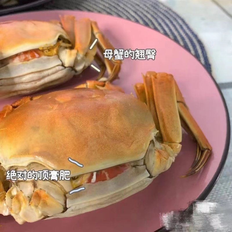 盘锦河蟹辽蟹稻田蟹毛蟹老头蟹各种规格蟹