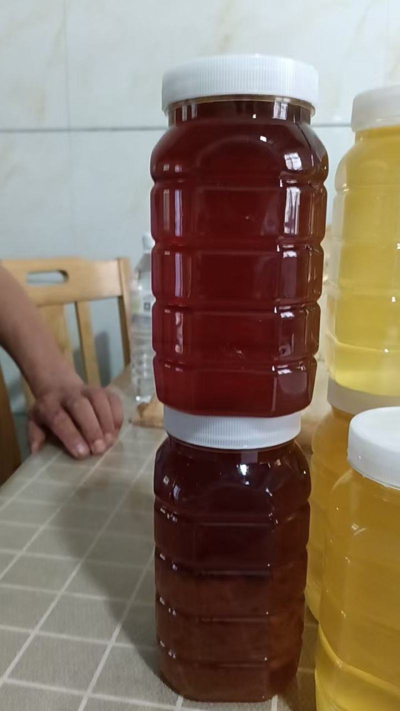 江西上饶蜂蜜枣蜜野生百花蜜自产自销长期供货保质保量
