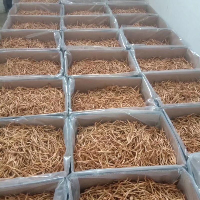 【王淇黄花菜】常年供应各种品质黄花菜，产地一手货源，
